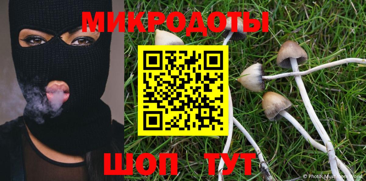 Псилоцибиновые грибы Psilocybe Щёлково
